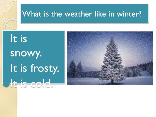 What is the weather like in winter? It is snowy. It is frosty. It is cold.
