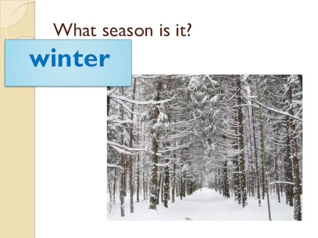 What season is it? winter