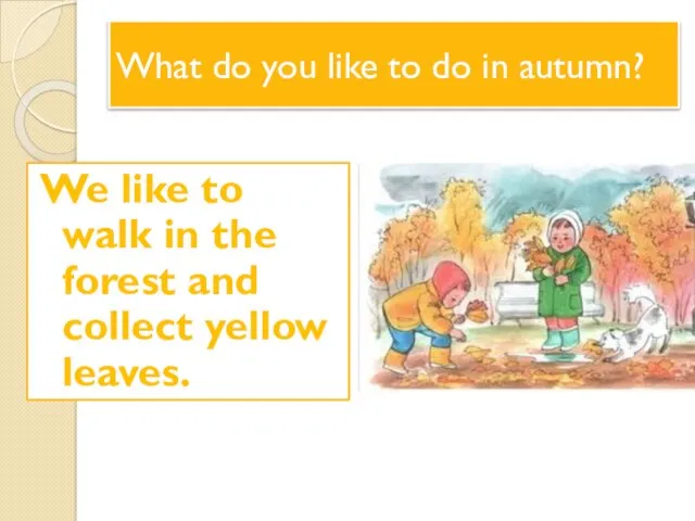 What do you like to do in autumn? We like