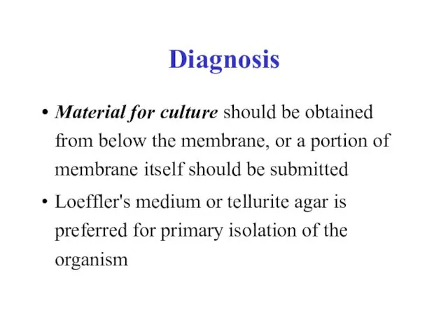 Material for culture should be obtained from below the membrane,