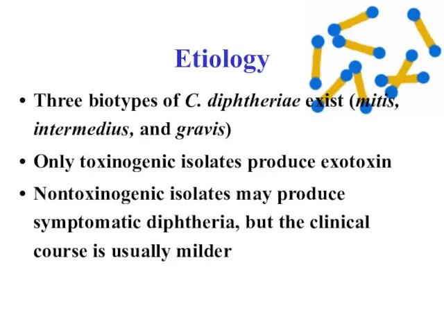 Etiology Three biotypes of C. diphtheriae exist (mitis, intermedius, and