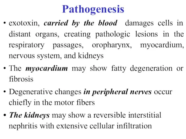 exotoxin, carried by the blood damages cells in distant organs,