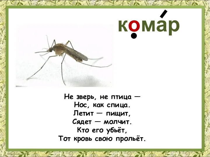 Не зверь, не птица — Нос, как спица. Летит —