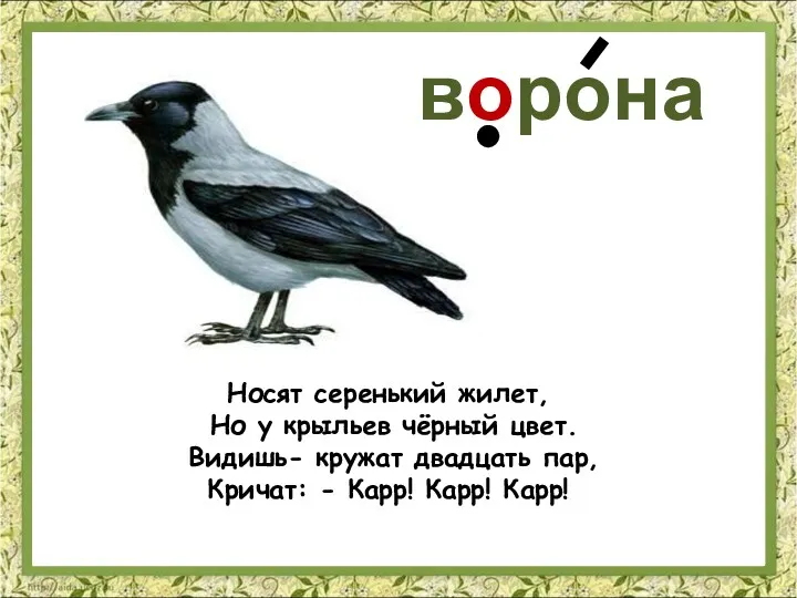 Носят серенький жилет, Но у крыльев чёрный цвет. Видишь- кружат