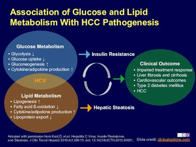 Association of Glucose and Lipid Metabolism With HCC Pathogenesis Glucose Metabolism Lipid Metabolism