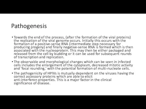 Pathogenesis Towards the end of the process, (after the formation