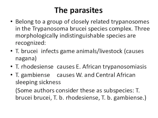 The parasites Belong to a group of closely related trypanosomes