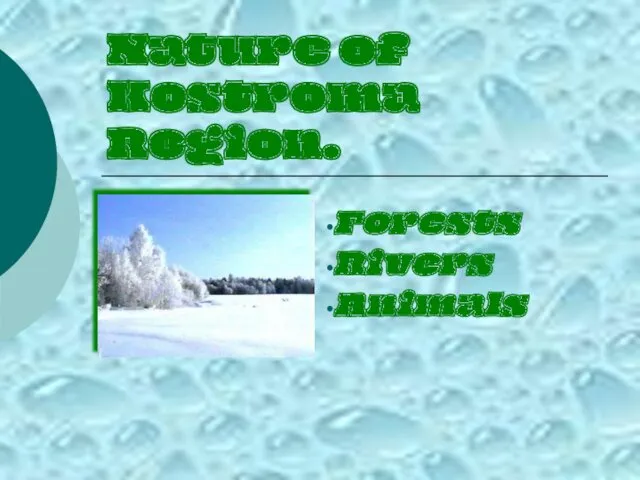 Nature of Kostroma Region. Forests Rivers Animals