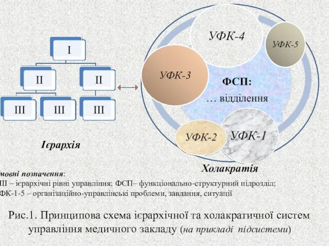 Умовні позначення: I-III – ієрархічні рівні управління; ФСП– функціонально-структурний підрозділ;