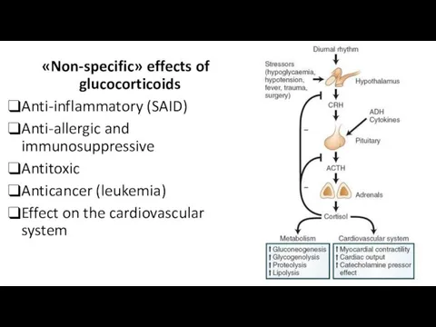«Non-specific» effects of glucocorticoids Anti-inflammatory (SAID) Anti-allergic and immunosuppressive Antitoxic Anticancer (leukemia) Effect