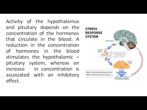 Activity of the hypothalamus and pituitary depends on the concentration