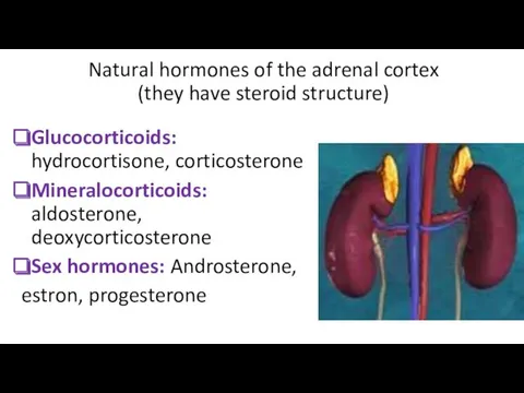Natural hormones of the adrenal cortex (they have steroid structure) Glucocorticoids: hydrocortisone, corticosterone