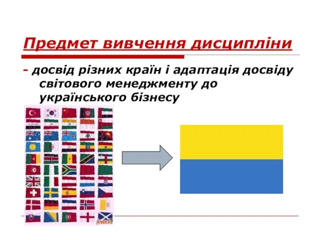 Предмет вивчення дисципліни - досвід різних країн і адаптація досвіду світового менеджменту до українського бізнесу