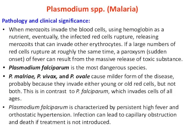 Plasmodium spp. (Malaria) Pathology and clinical significance: When merozoits invade
