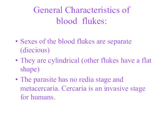 General Characteristics of blood flukes: Sexes of the blood flukes
