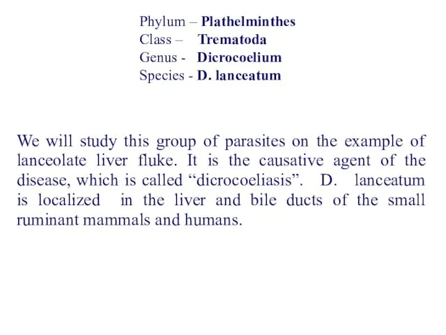 Phylum – Plathelminthes Class – Trematoda Genus - Dicrocoelium Species