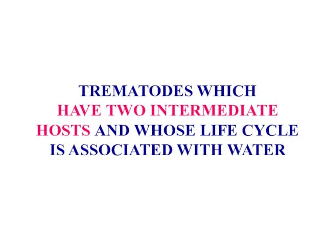 TREMATODES WHICH HAVE TWO INTERMEDIATE HOSTS AND WHOSE LIFE CYCLE IS ASSOCIATED WITH WATER