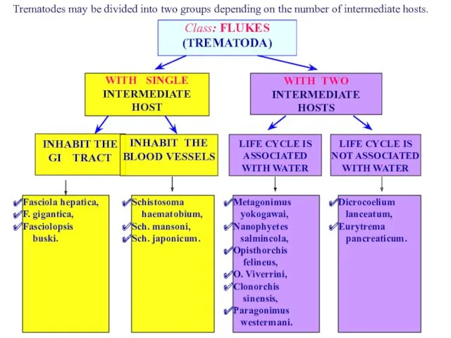 WITH SINGLE INTERMEDIATE HOST WITH TWO INTERMEDIATE HOSTS INHABIT THE