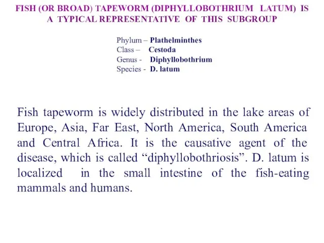 Fish tapeworm is widely distributed in the lake areas of