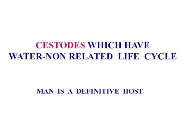 CESTODES WHICH HAVE WATER-NON RELATED LIFE CYCLE MAN IS A DEFINITIVE HOST