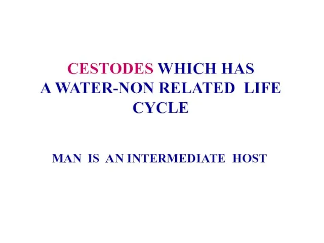 CESTODES WHICH HAS A WATER-NON RELATED LIFE CYCLE MAN IS AN INTERMEDIATE HOST