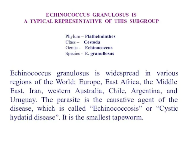 Echinococcus granulosus is widespread in various regions of the World: