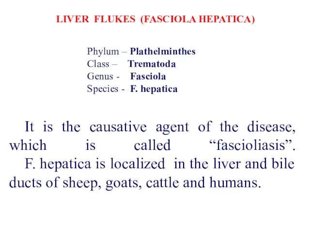 It is the causative agent of the disease, which is