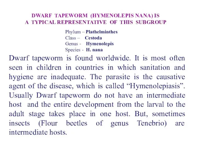 Dwarf tapeworm is found worldwide. It is most often seen