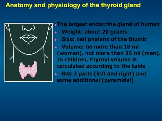 Anatomy and physiology of the thyroid gland The largest endocrine
