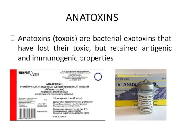 ANATOXINS Anatoxins (toxois) are bacterial exotoxins that have lost their toxic, but retained