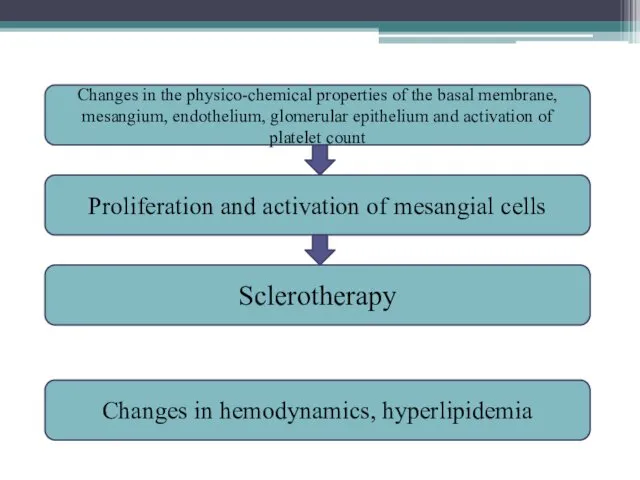 Sclerotherapy Proliferation and activation of mesangial cells Changes in the physico-chemical properties of