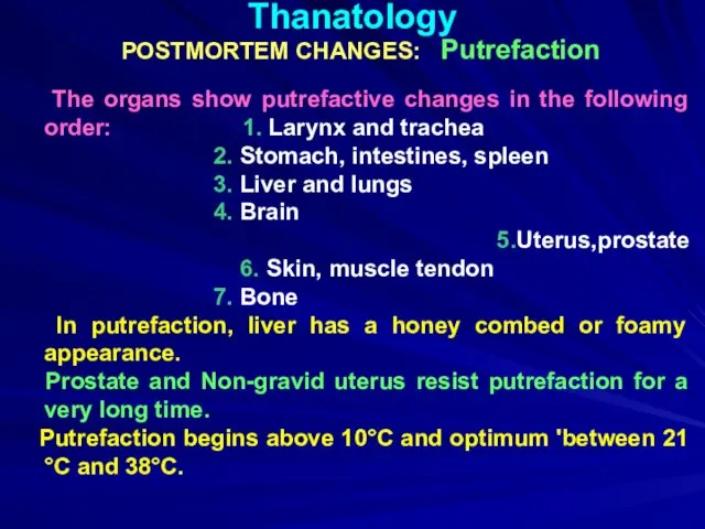 Thanatology POSTMORTEM CHANGES: Putrefaction The organs show putrefactive changes in