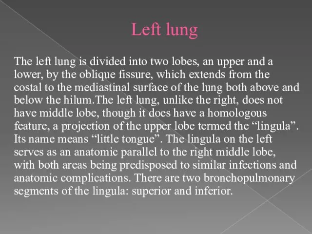 Left lung The left lung is divided into two lobes,