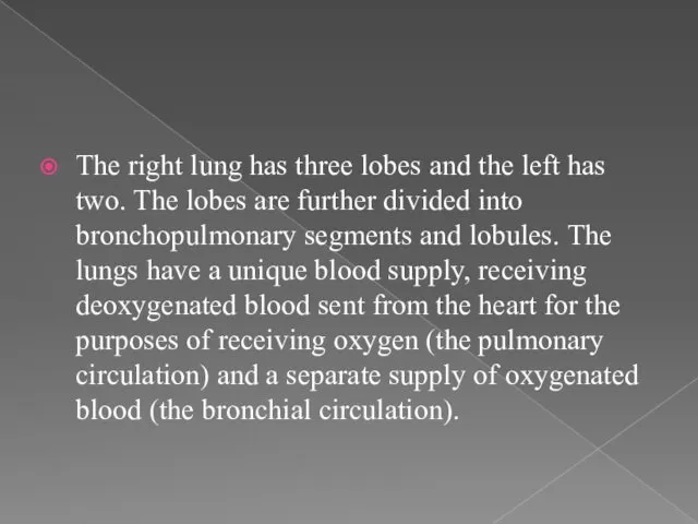 The right lung has three lobes and the left has