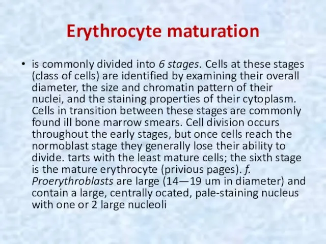 Erythrocyte maturation is commonly divided into 6 stages. Cells at