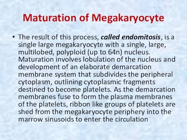 Maturation of Megakaryocyte The result of this process, called endomitosis,