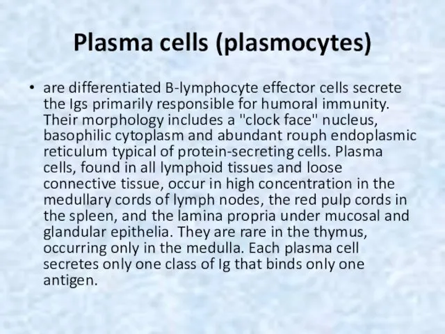 Plasma cells (plasmocytes) are differentiated B-lymphocyte effector cells secrete the