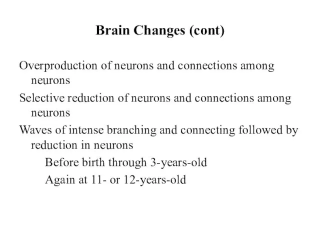 Brain Changes (cont) Overproduction of neurons and connections among neurons