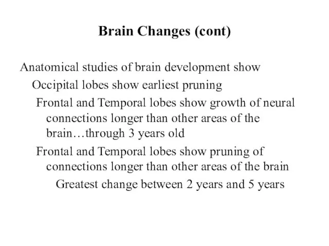 Brain Changes (cont) Anatomical studies of brain development show Occipital