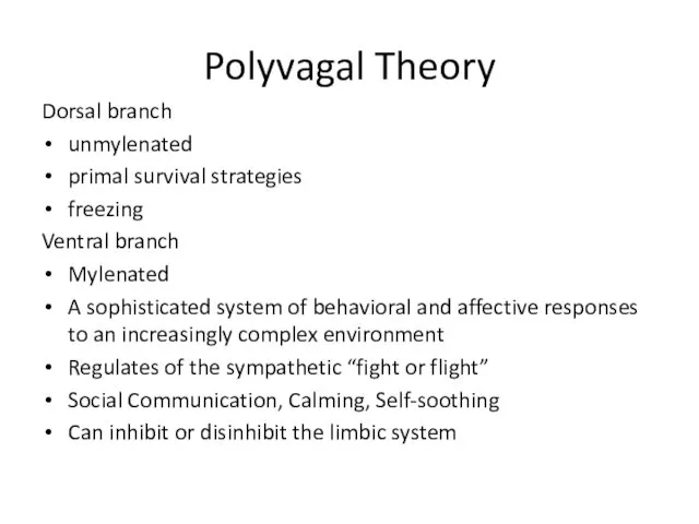 Polyvagal Theory Dorsal branch unmylenated primal survival strategies freezing Ventral