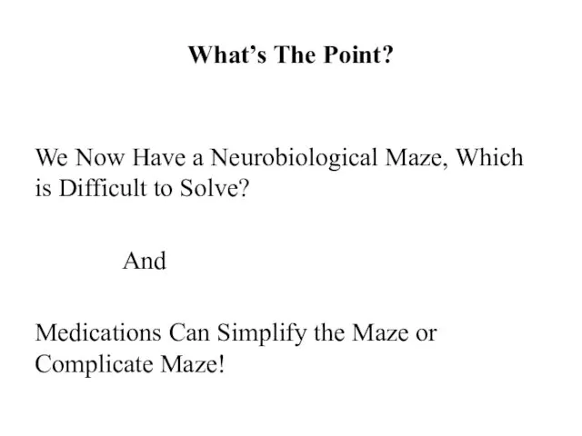 What’s The Point? We Now Have a Neurobiological Maze, Which