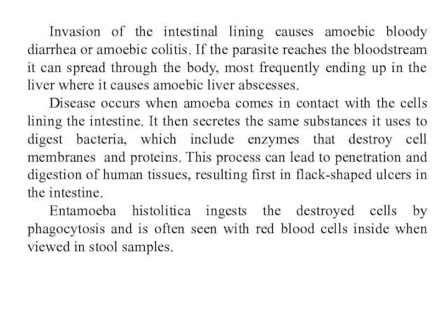 Invasion of the intestinal lining causes amoebic bloody diarrhea or