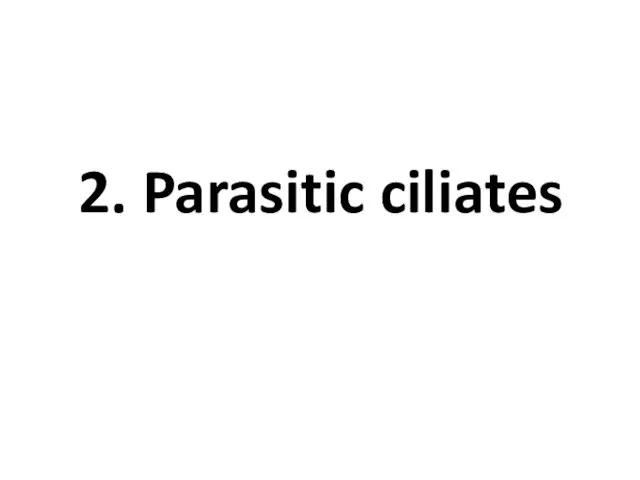 2. Parasitic ciliates