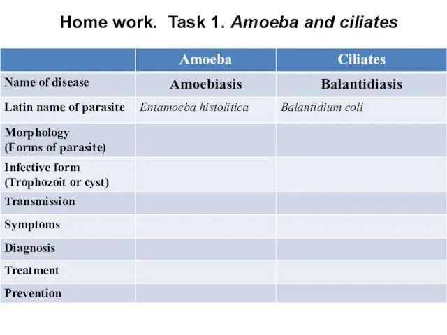 Home work. Task 1. Amoeba and ciliates