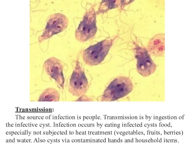 Transmission: The source of infection is people. Transmission is by