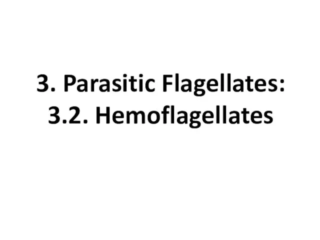 3. Parasitic Flagellates: 3.2. Hemoflagellates