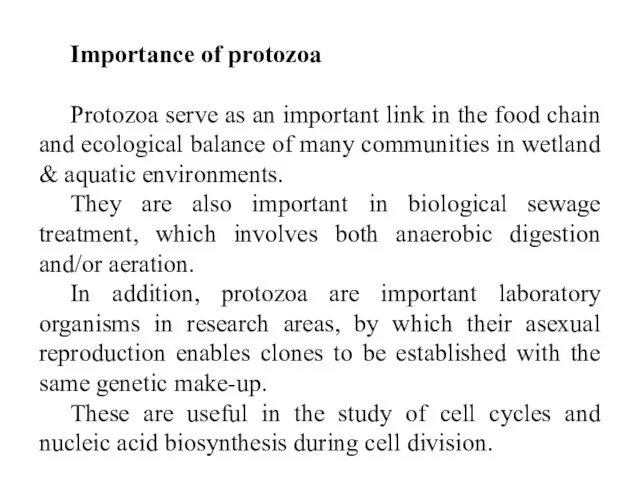 Importance of protozoa Protozoa serve as an important link in