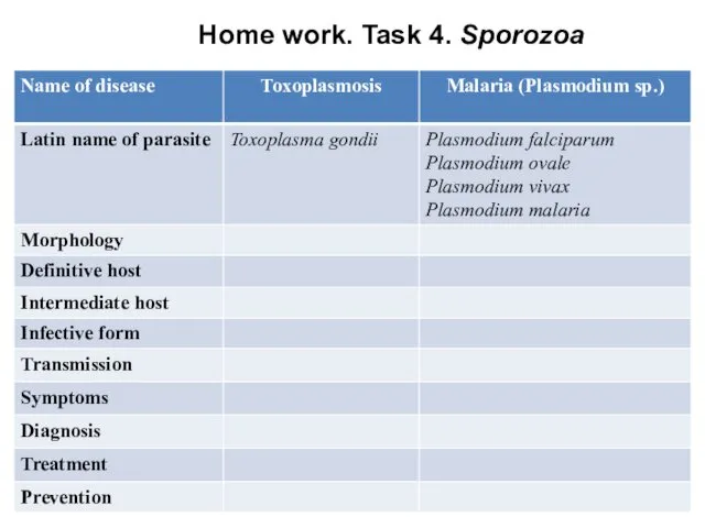 Home work. Task 4. Sporozoa