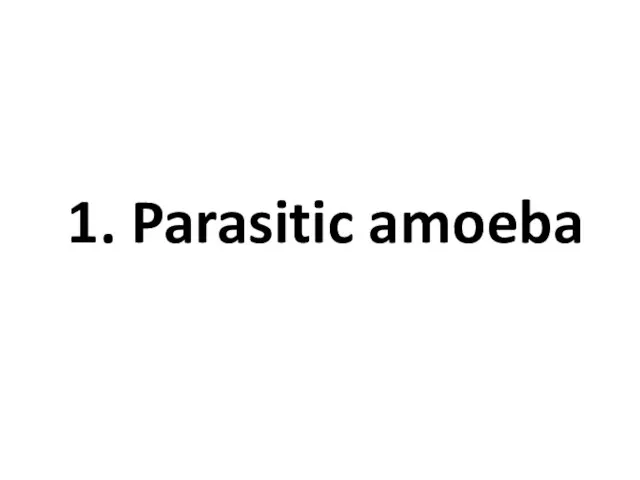 1. Parasitic amoeba