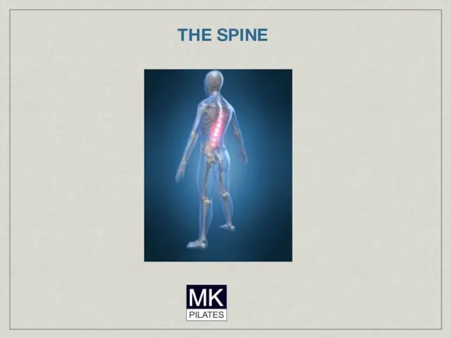 THE SPINE